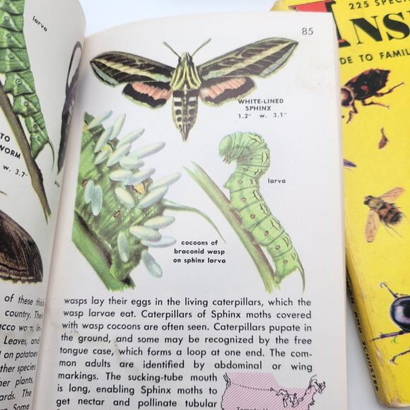 Vintage Golden Nature Guides Insects & Reptiles Books Lot 1950s Set of 3 - Picture 3 of 8